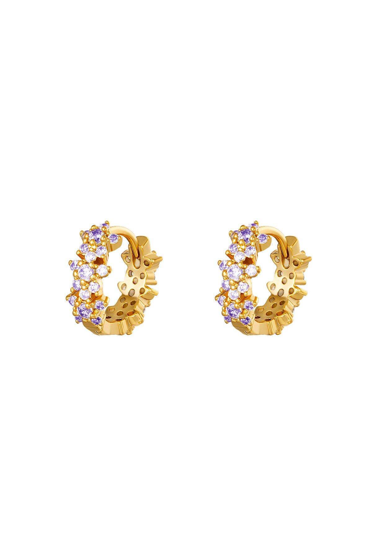 Elegant Rhinestone Hoop Earrings in Multiple Colors